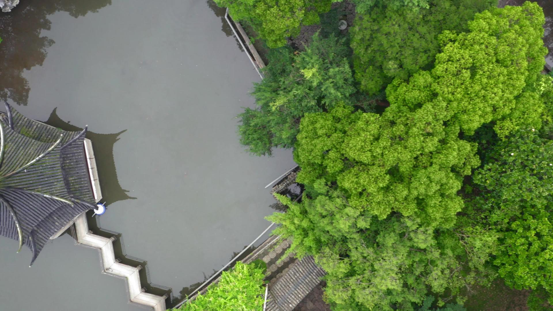 苏州花园中的古老传统花园视频的预览图