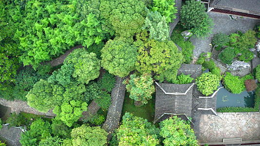 苏州花园中的古老传统花园视频的预览图