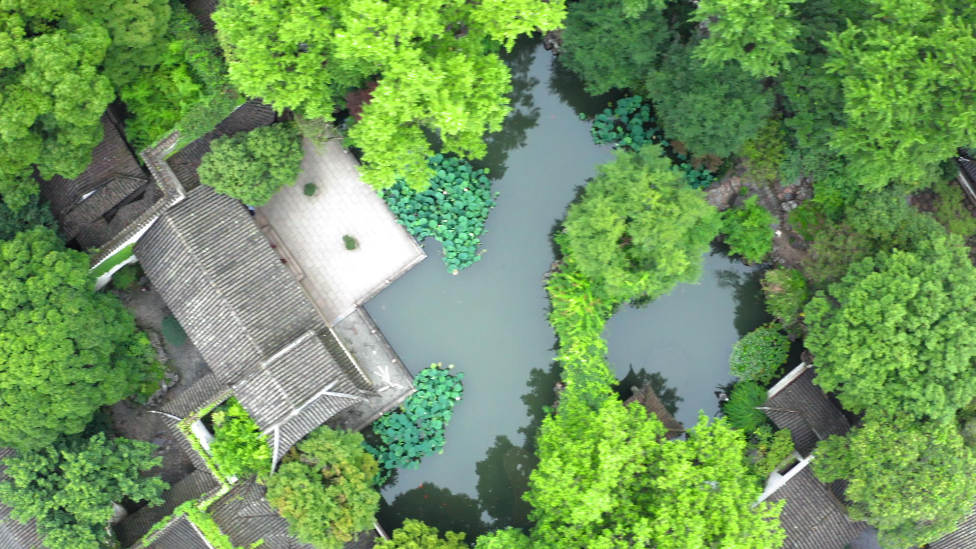 苏州花园视频的预览图
