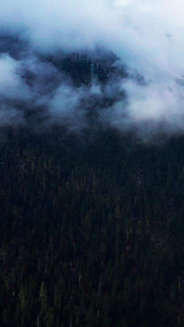 清晨鲁朗林海云雾航拍素材视频的预览图