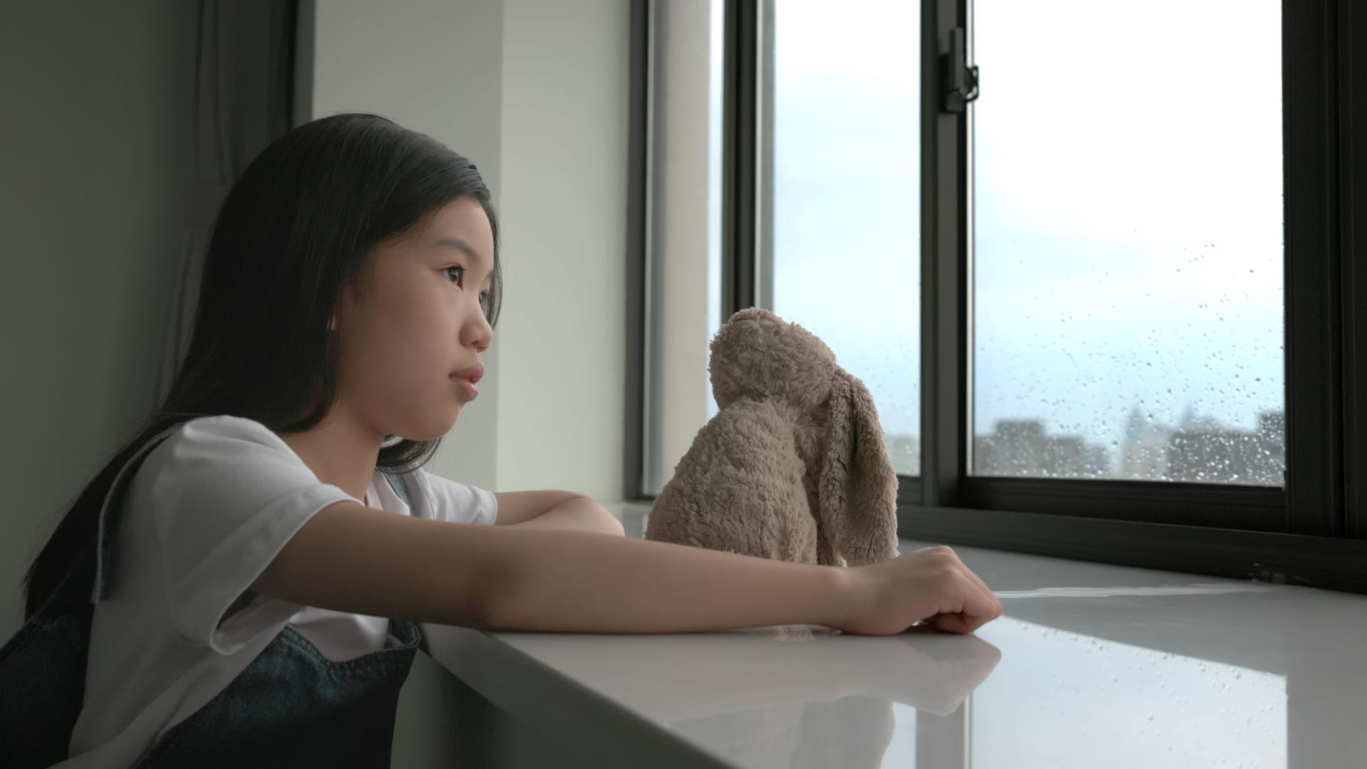 小女孩窗前抚摸小熊玩偶视频的预览图