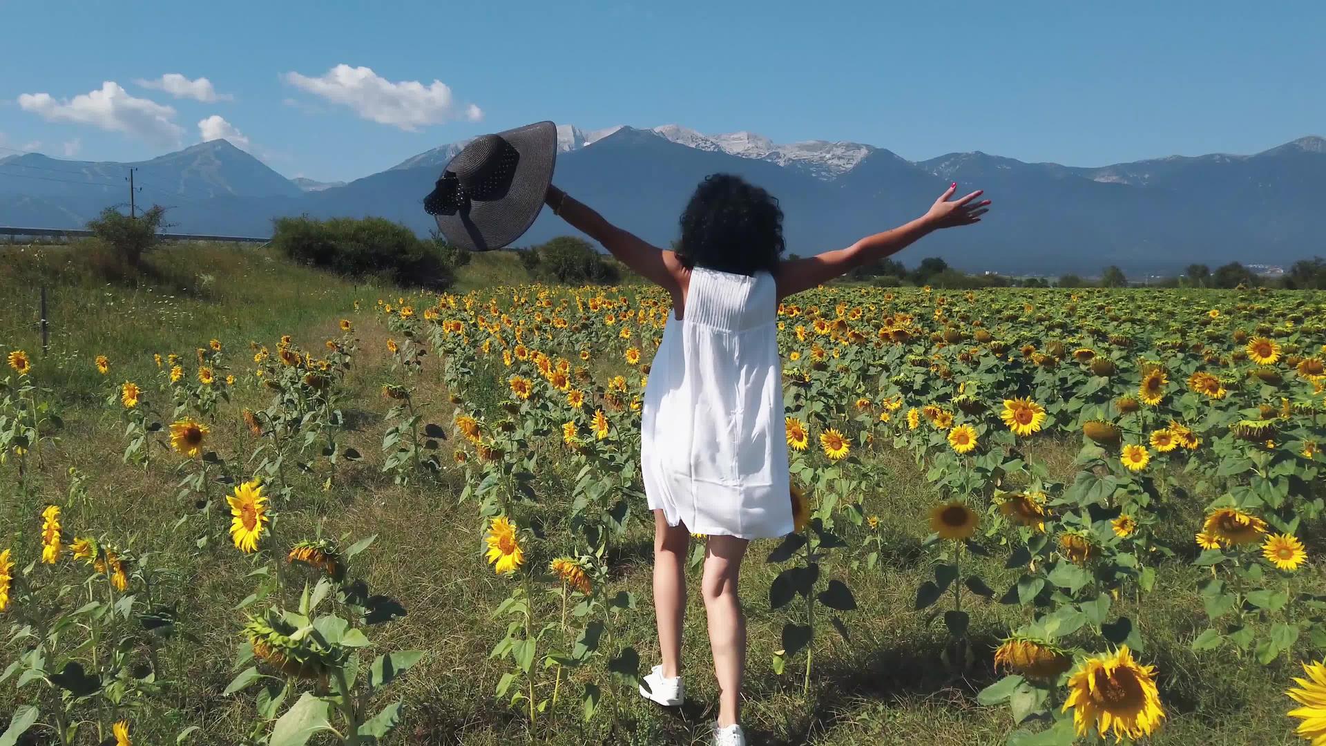 在阳光明媚的夏天快乐的年轻女子穿过向日葵田视频的预览图