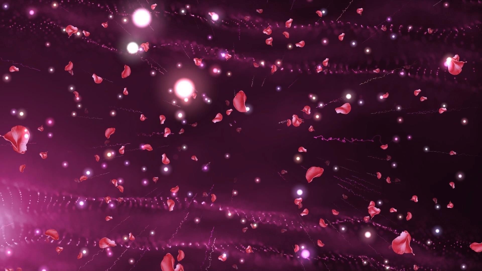 动态梦幻美味粒子花瓣飘动背景视频元素视频的预览图