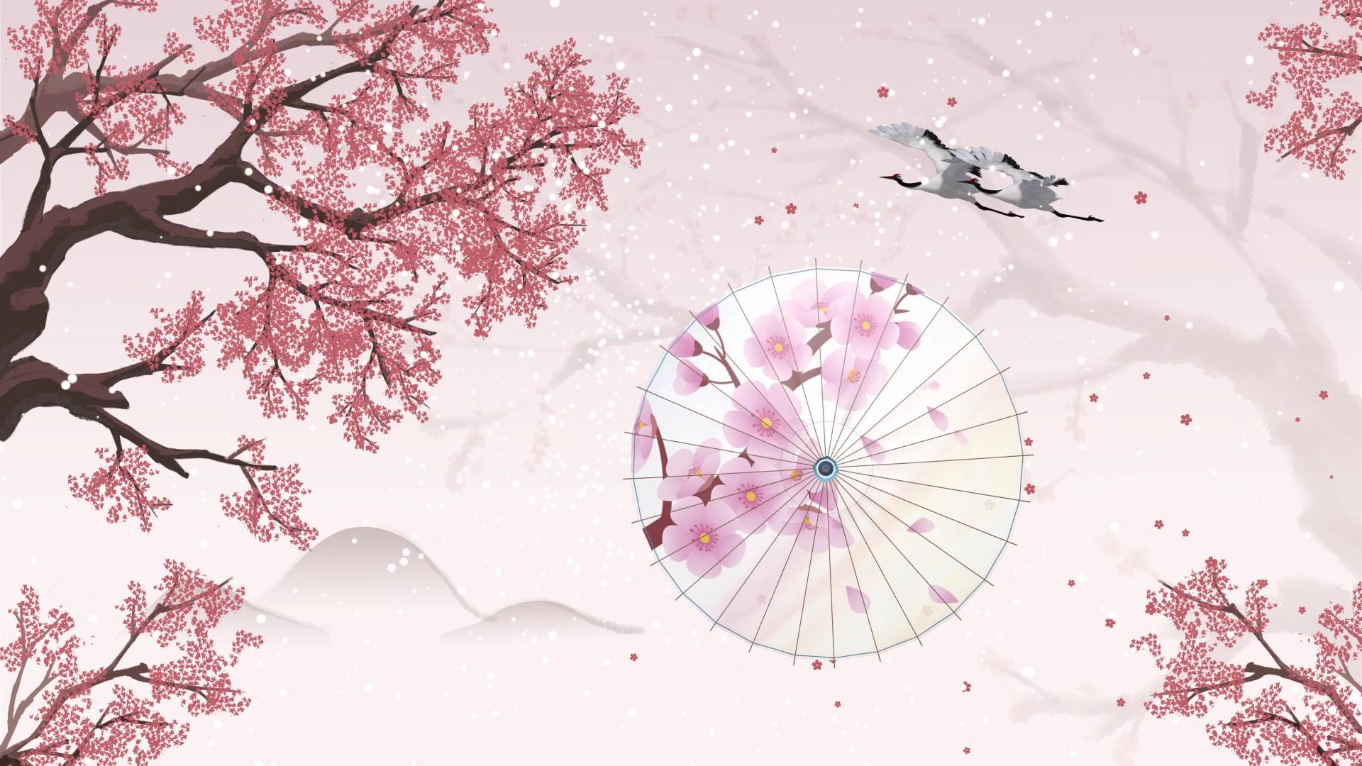唯美的樱花下纸伞视频的预览图