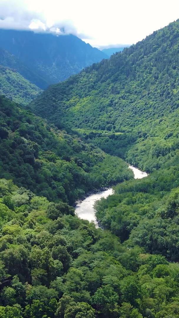 中国雅鲁藏布江航拍原始森林自然大自然视频的预览图