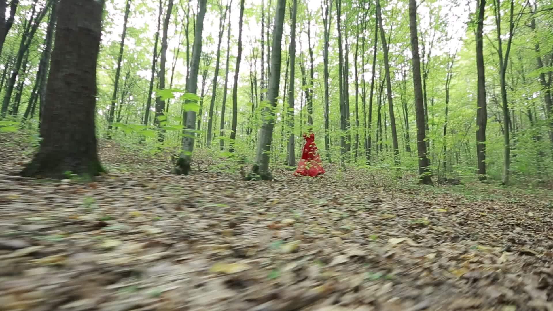 森林里的女孩视频的预览图