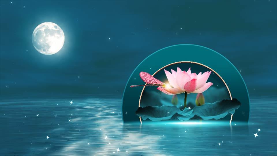 国风蓝光斑粒子水波荷叶月夜夏至背景视频的预览图