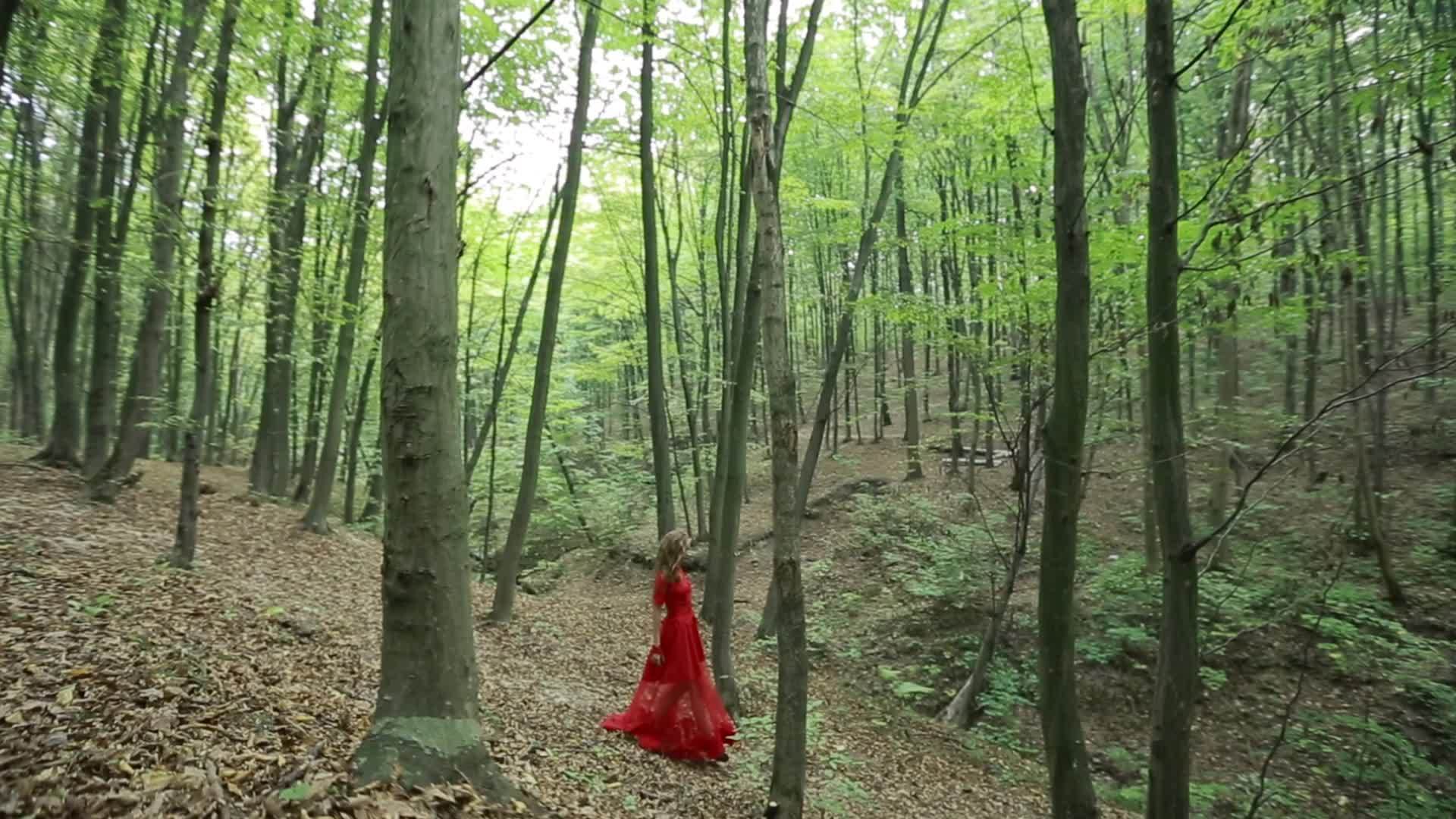 美丽的女孩在森林里行走视频的预览图