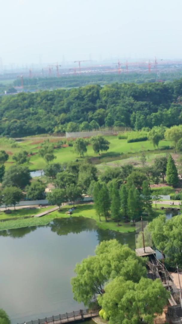 【旅游宣传片】上海航拍植物园收藏视频的预览图