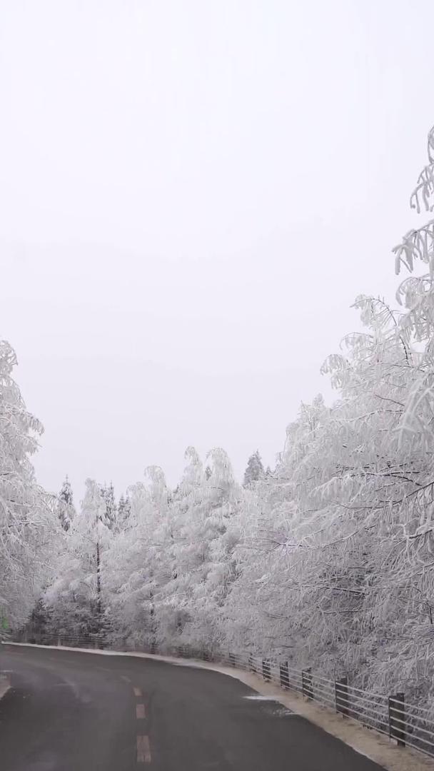 通过仙女山美丽的雾凇雪景大道开车视频的预览图