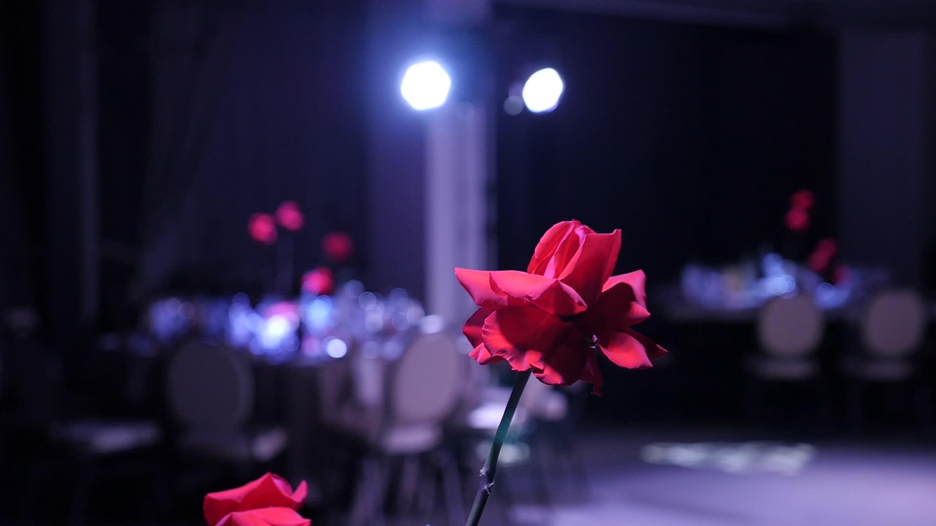 宴会桌上放着红玫瑰视频的预览图