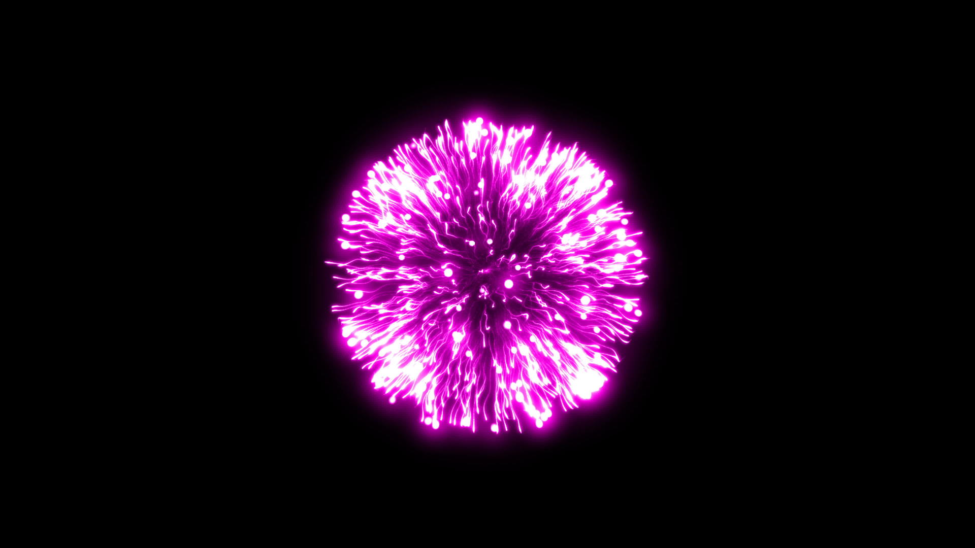 紫色烟花的黑色背景视频的预览图