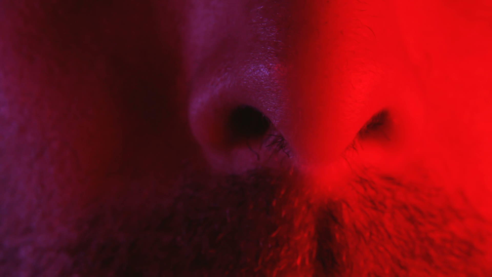 男人鼻子嗅或呼吸视频的预览图