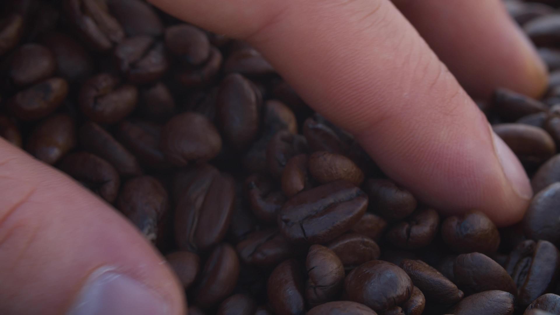 鼓动咖啡豆视频的预览图