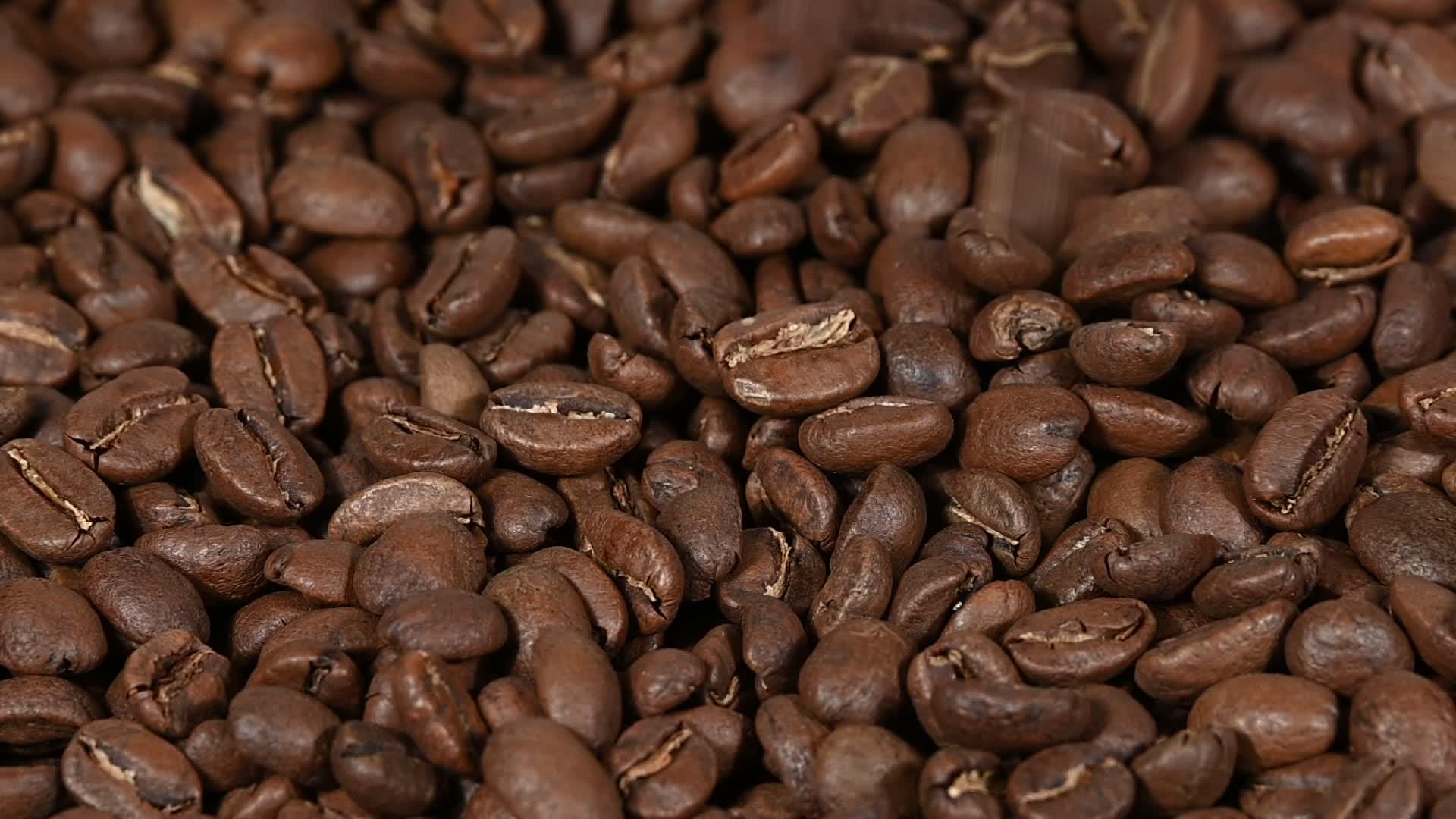 咖啡豆下跌的近底背景视频的预览图