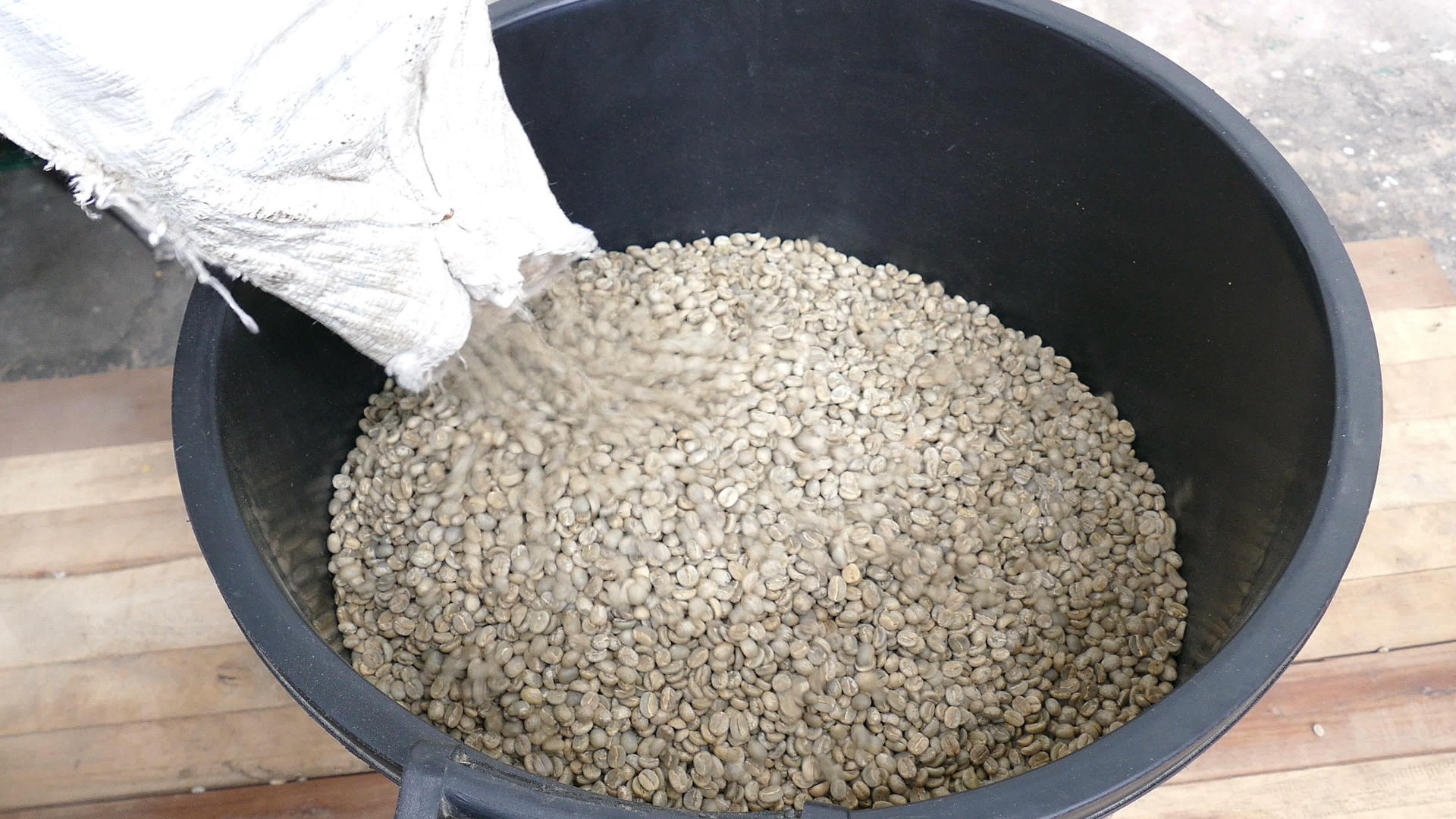 脱下羊皮袋后未烘烤的阿拉伯咖啡豆烘烤前干燥无壳白咖啡豆视频的预览图