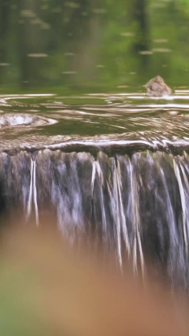 秋季落叶缓缓流淌的溪流视频的预览图