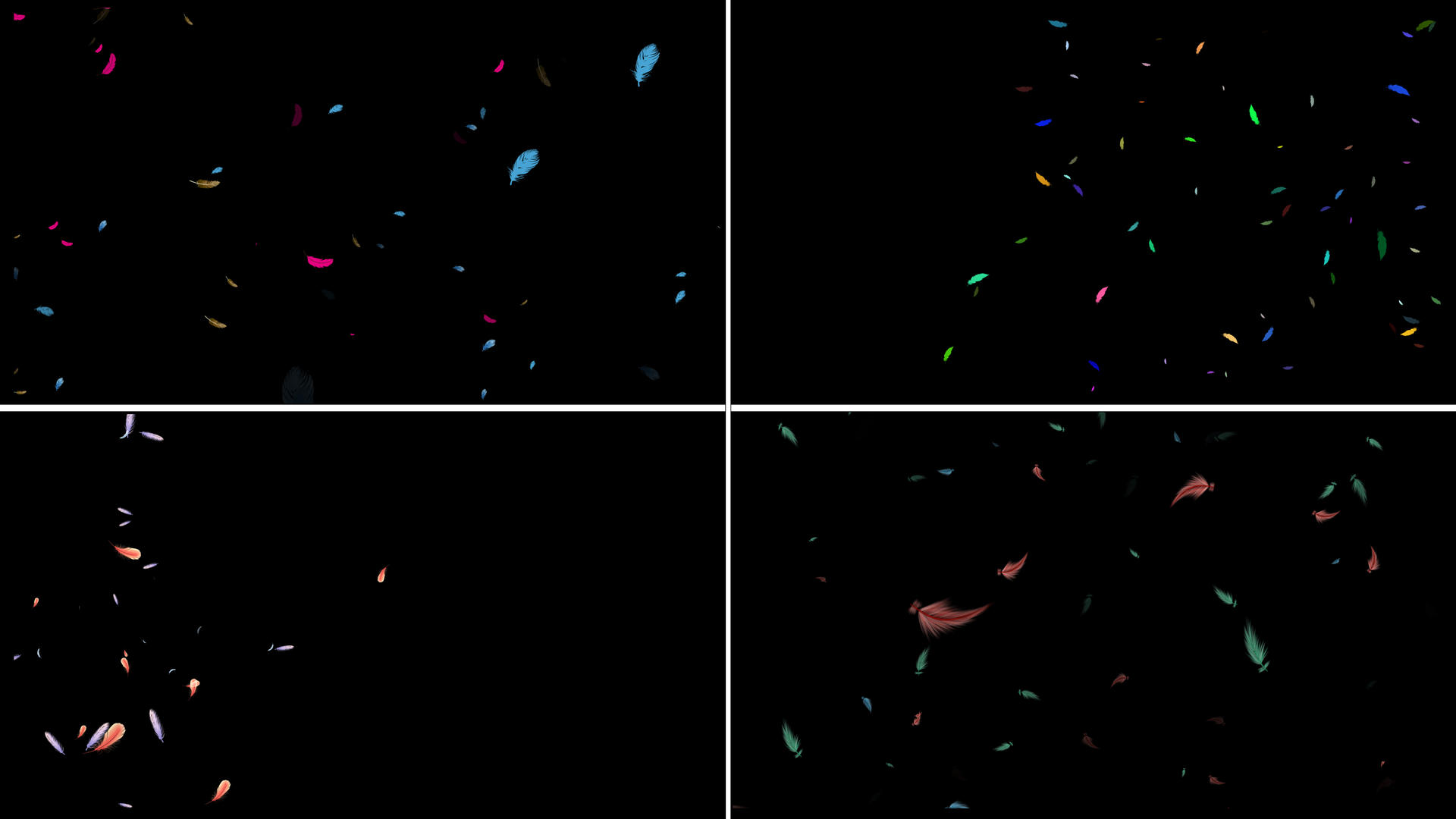 一组羽毛粒子动画视频的预览图