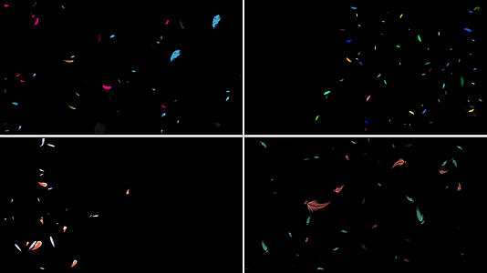 一组羽毛粒子动画视频的预览图