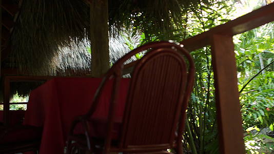 大陆咖啡馆有一张空桌子里面有一个热带度假村视频的预览图