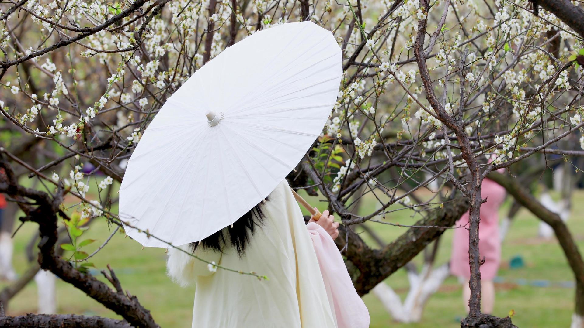 4k春游园林女性旅游古装赏花梅花梅花视频的预览图