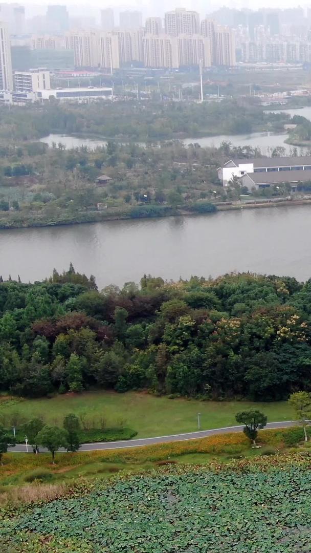南昌象湖公园景区万寿塔万寿宫视频的预览图