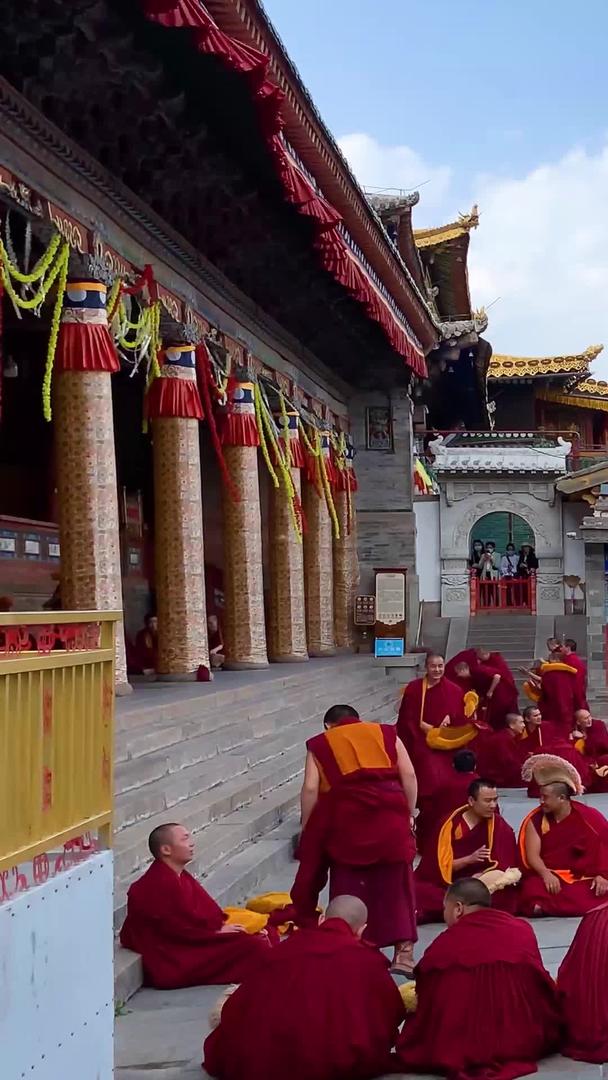 青海塔尔寺喇嘛辨经视频视频的预览图