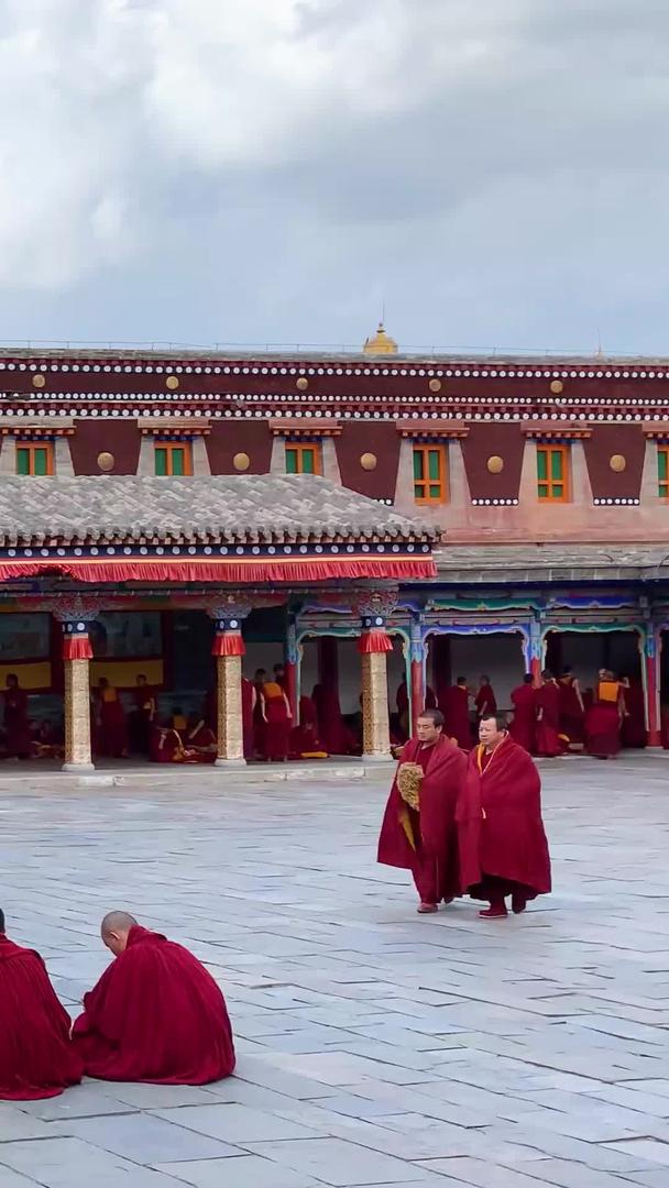 青海塔尔寺喇嘛辨经视频视频的预览图