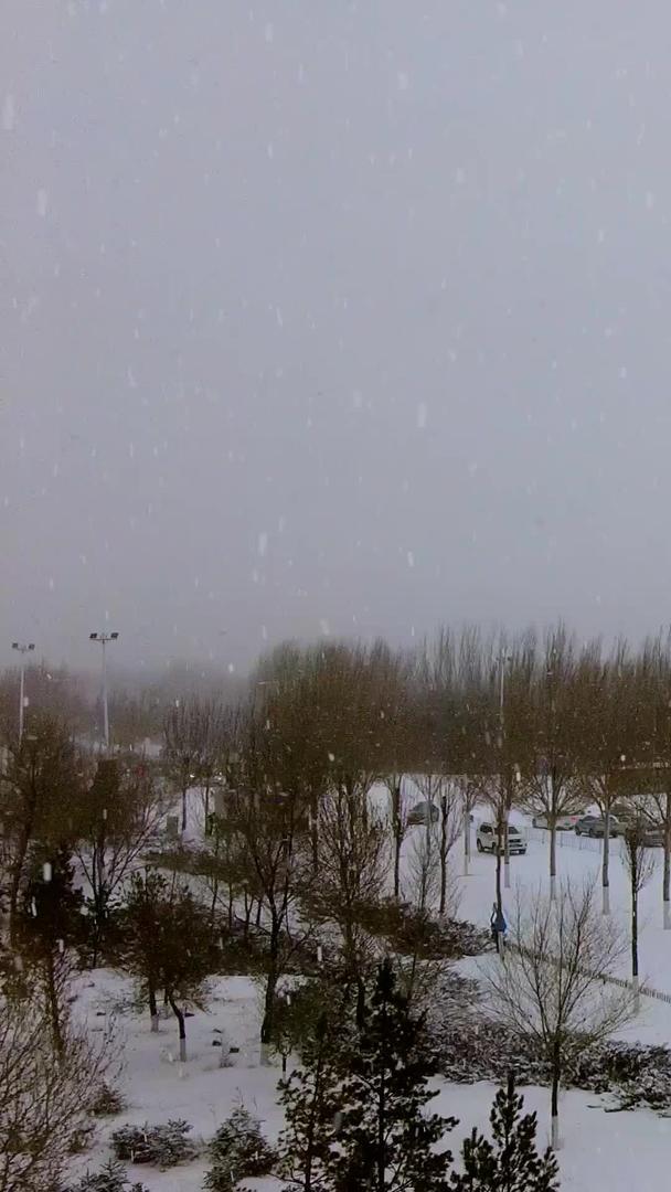 北方飘雪的城市街道固定位置拍摄视频的预览图