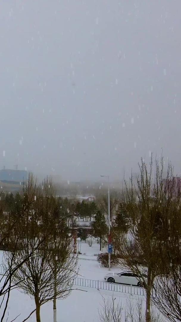 北方飘雪的城市街道固定位置拍摄视频的预览图
