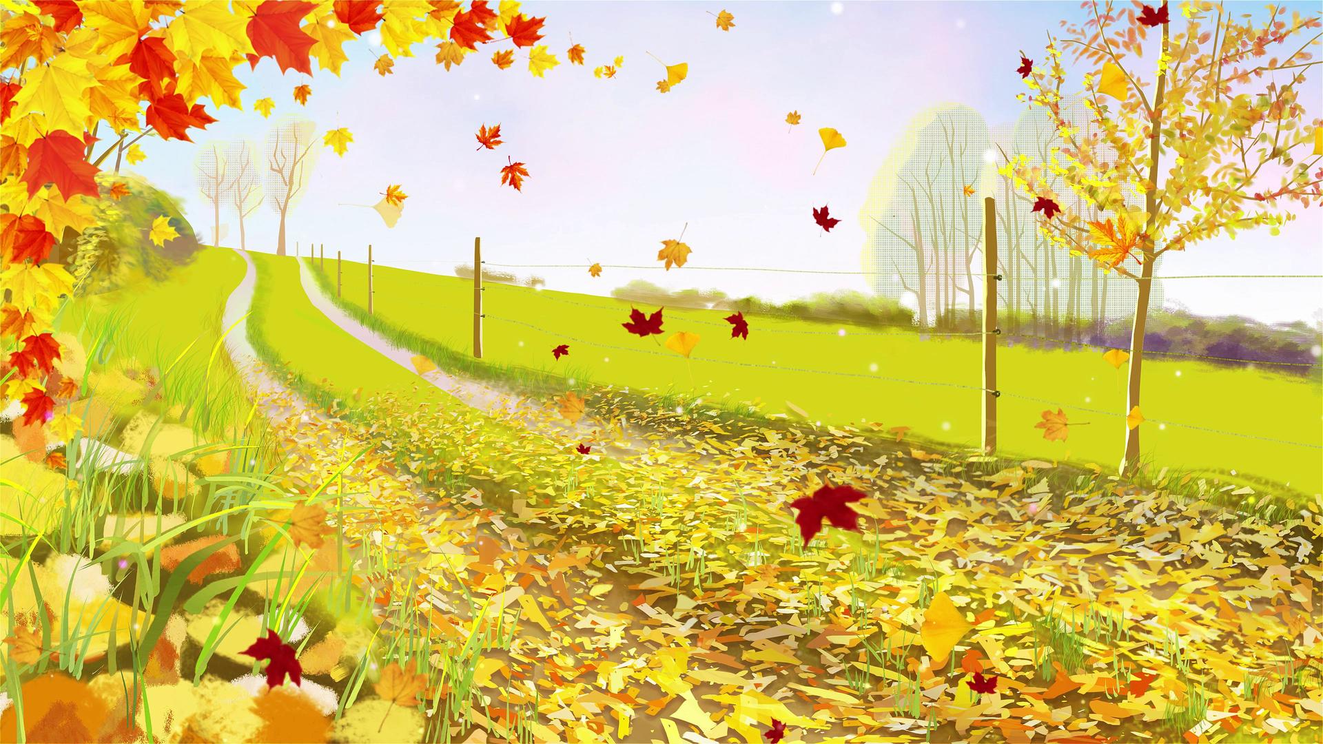 4K秋天多彩的落叶舞台背景视频视频的预览图