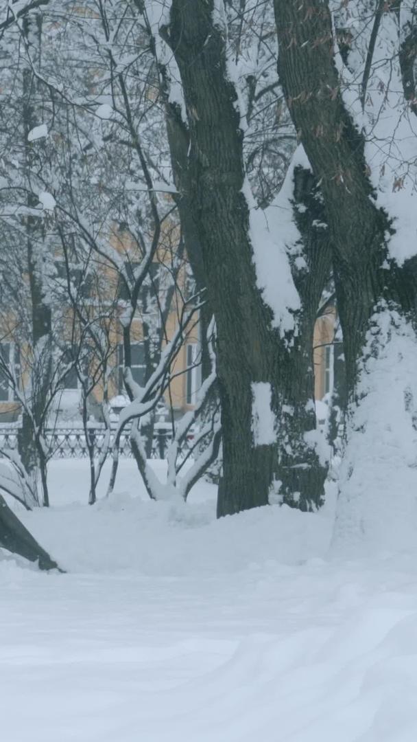 暴风雪过后城市街道清晨积雪的人视频的预览图