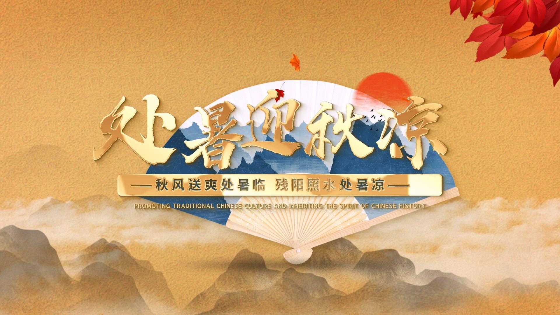 大气金字处暑片头展示AE模板视频的预览图