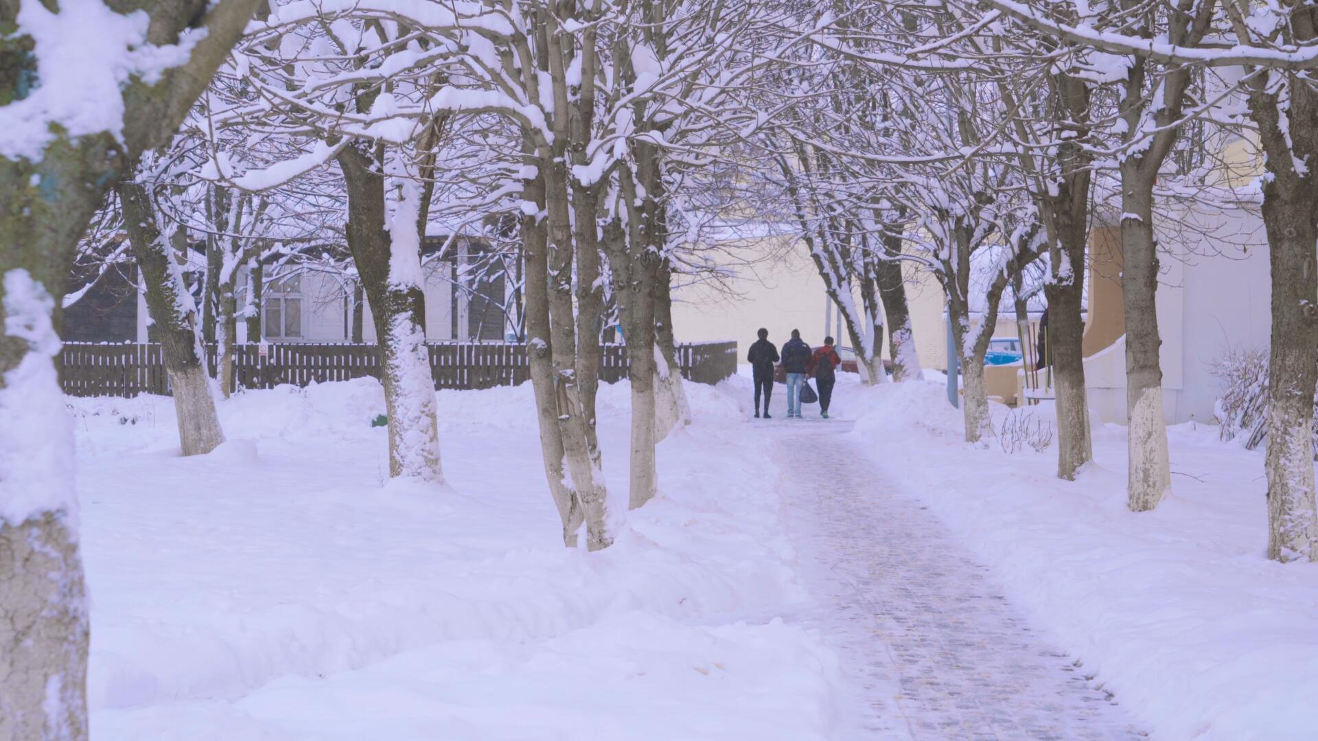 寒潮大雪天气街上厚厚的积雪视频的预览图