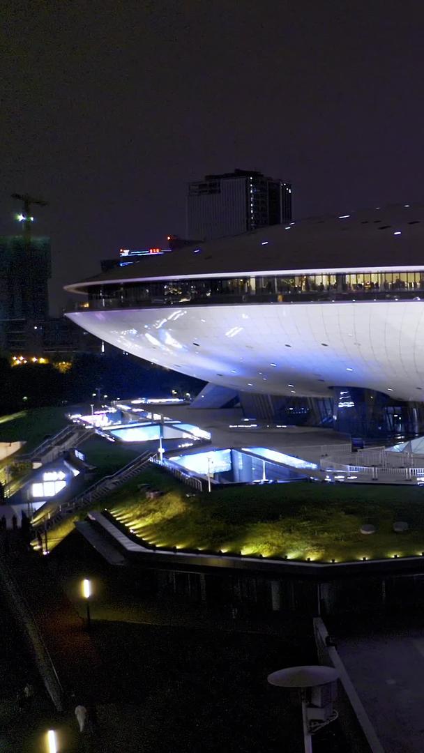 奔驰文化中心夜景视频的预览图