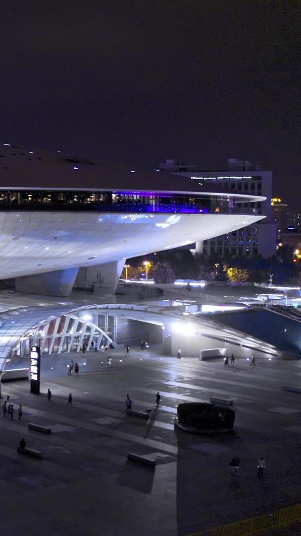 奔驰文化中心夜景视频的预览图
