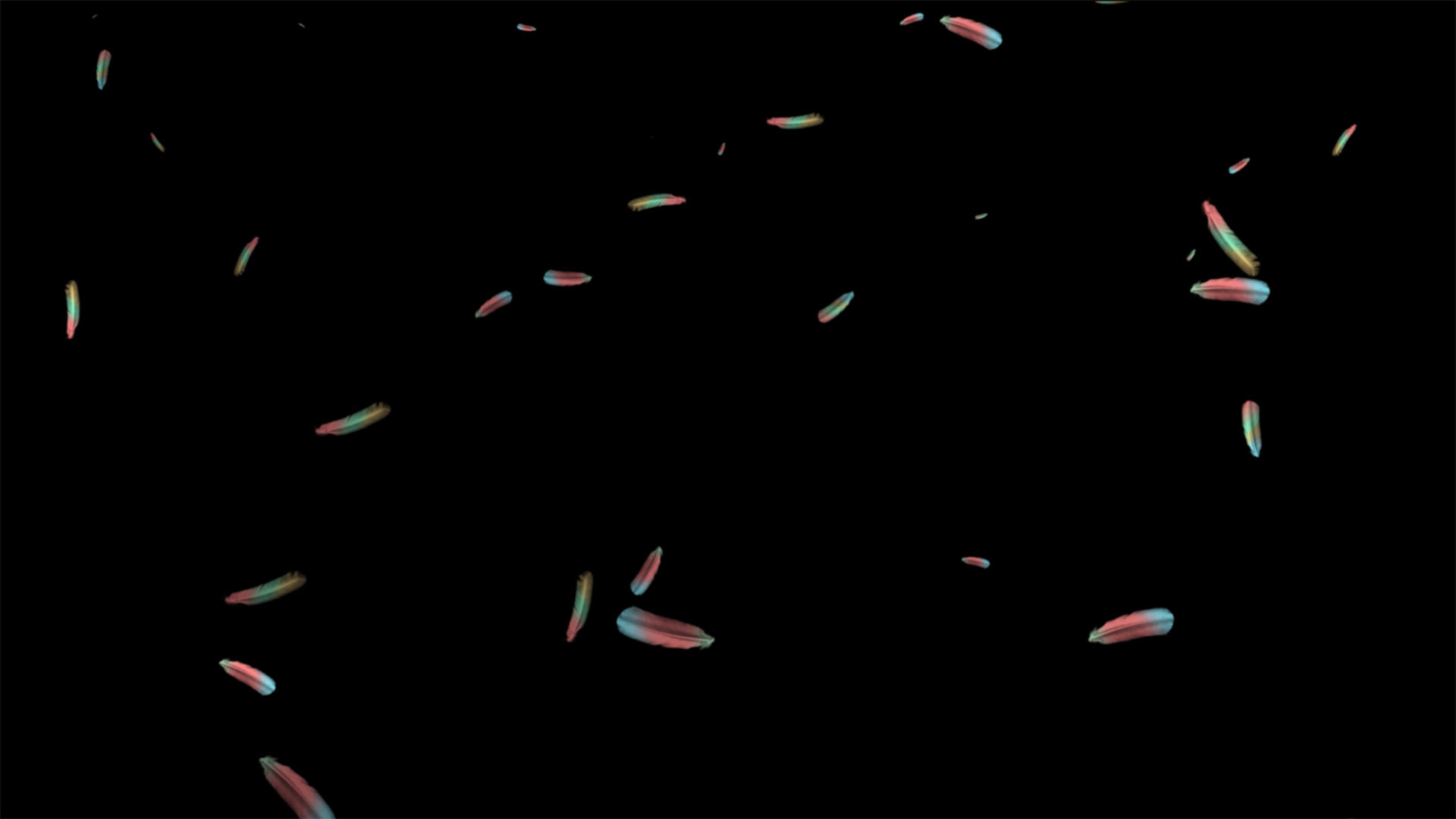 4K彩色羽毛飘落元素带透明度视频的预览图