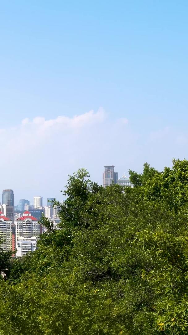 厦门城市风景的集合视频的预览图
