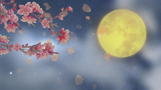 圆月中秋节背景视频的预览图
