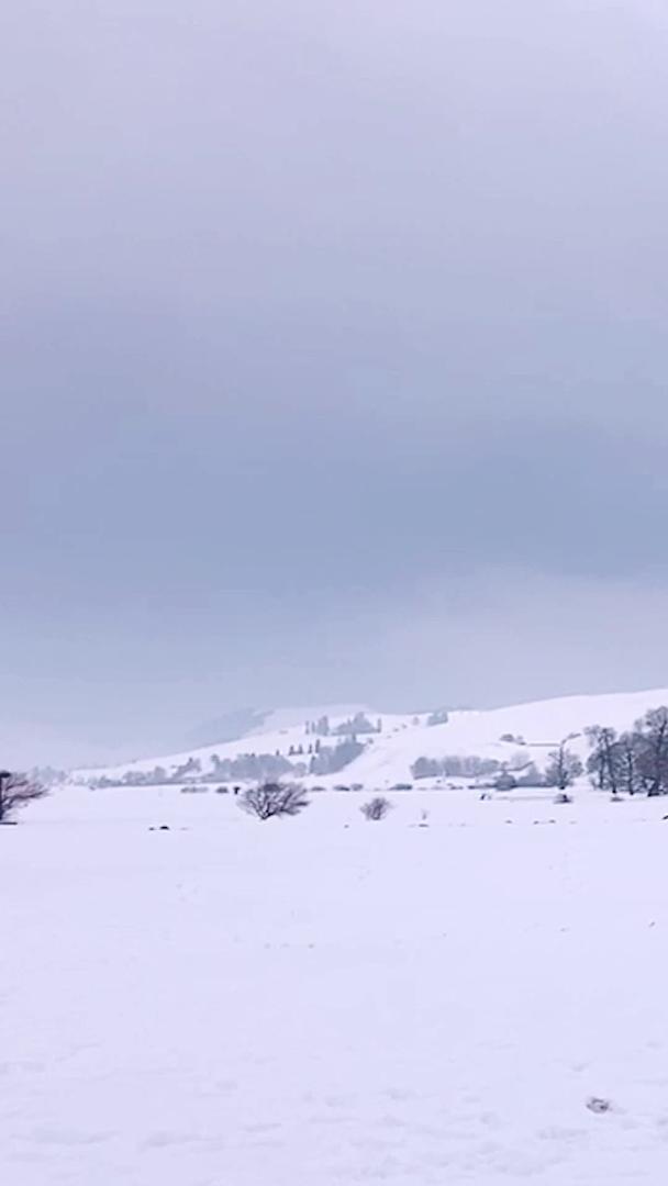 那拉提大草原雪景新疆5A景区视频的预览图