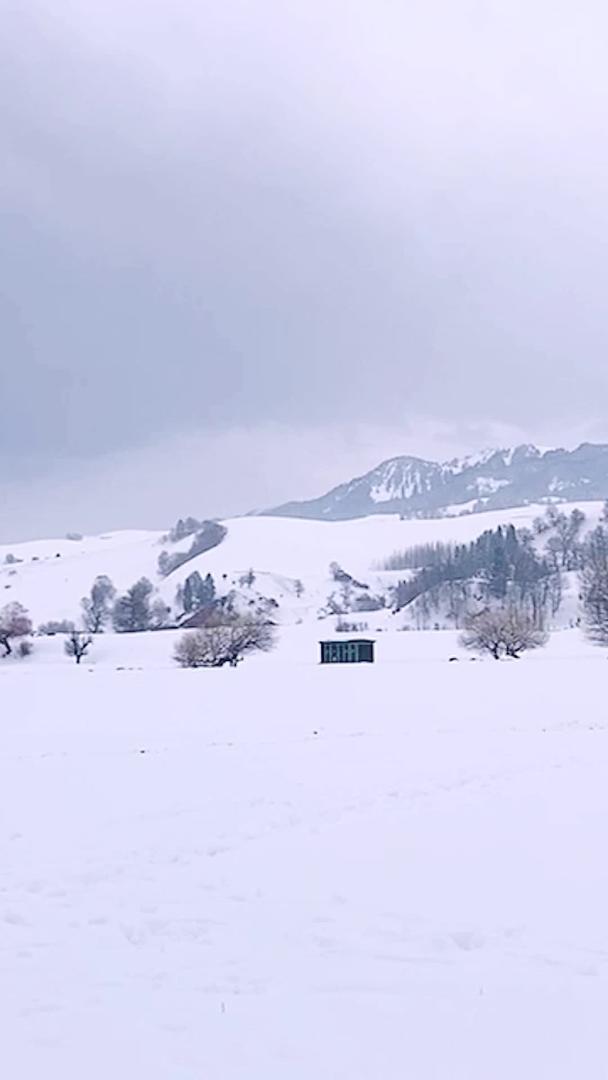 那拉提大草原雪景新疆5A景区视频的预览图