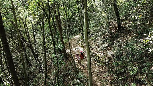 人与自然行人在树林里面行走航拍4k视频的预览图