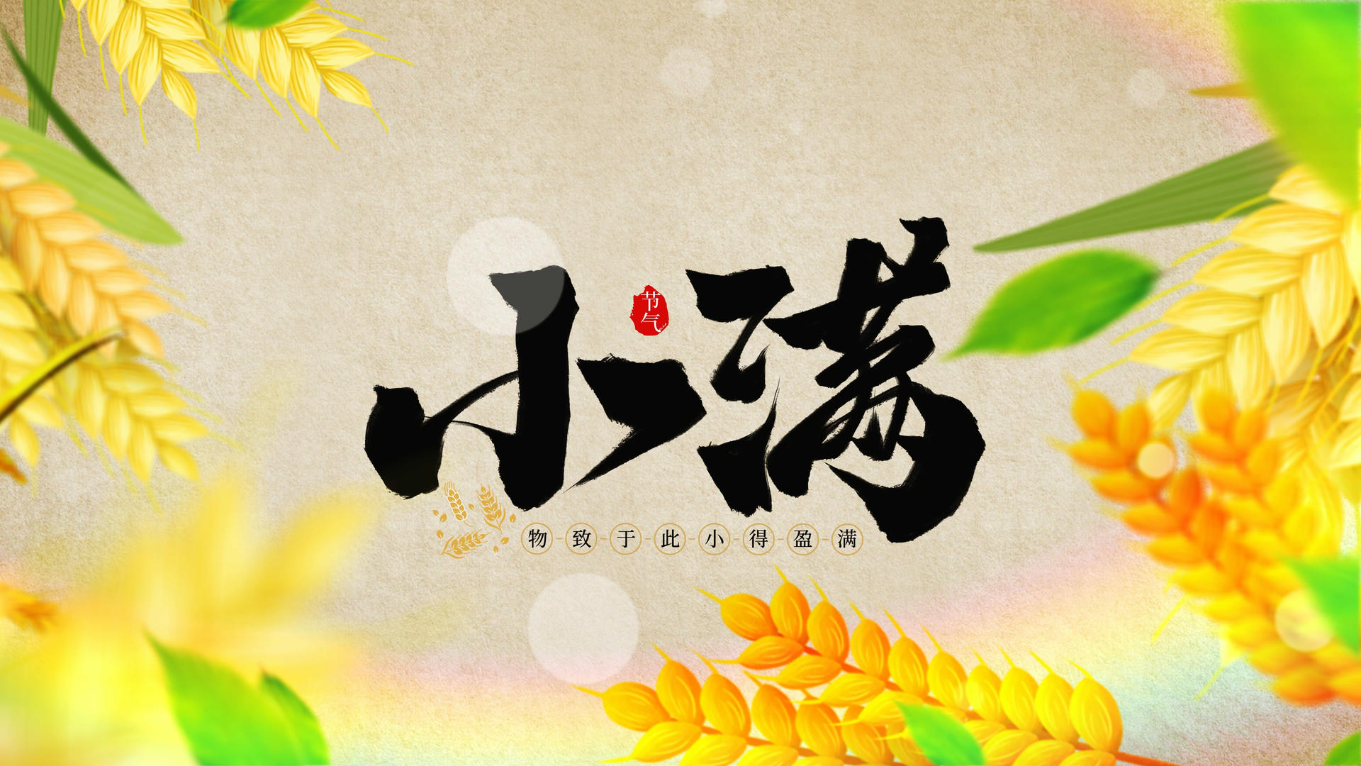 4K24节气小满片头AE模板视频的预览图