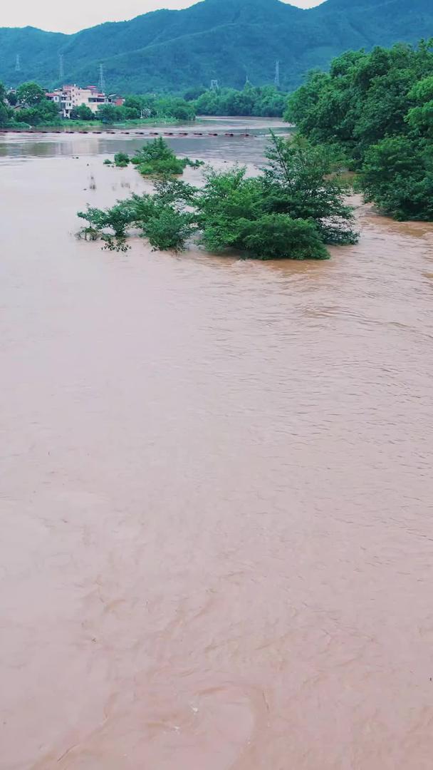 雨季夏季雷雨天气暴雨后河流自然灾害洪峰过境航拍视频的预览图