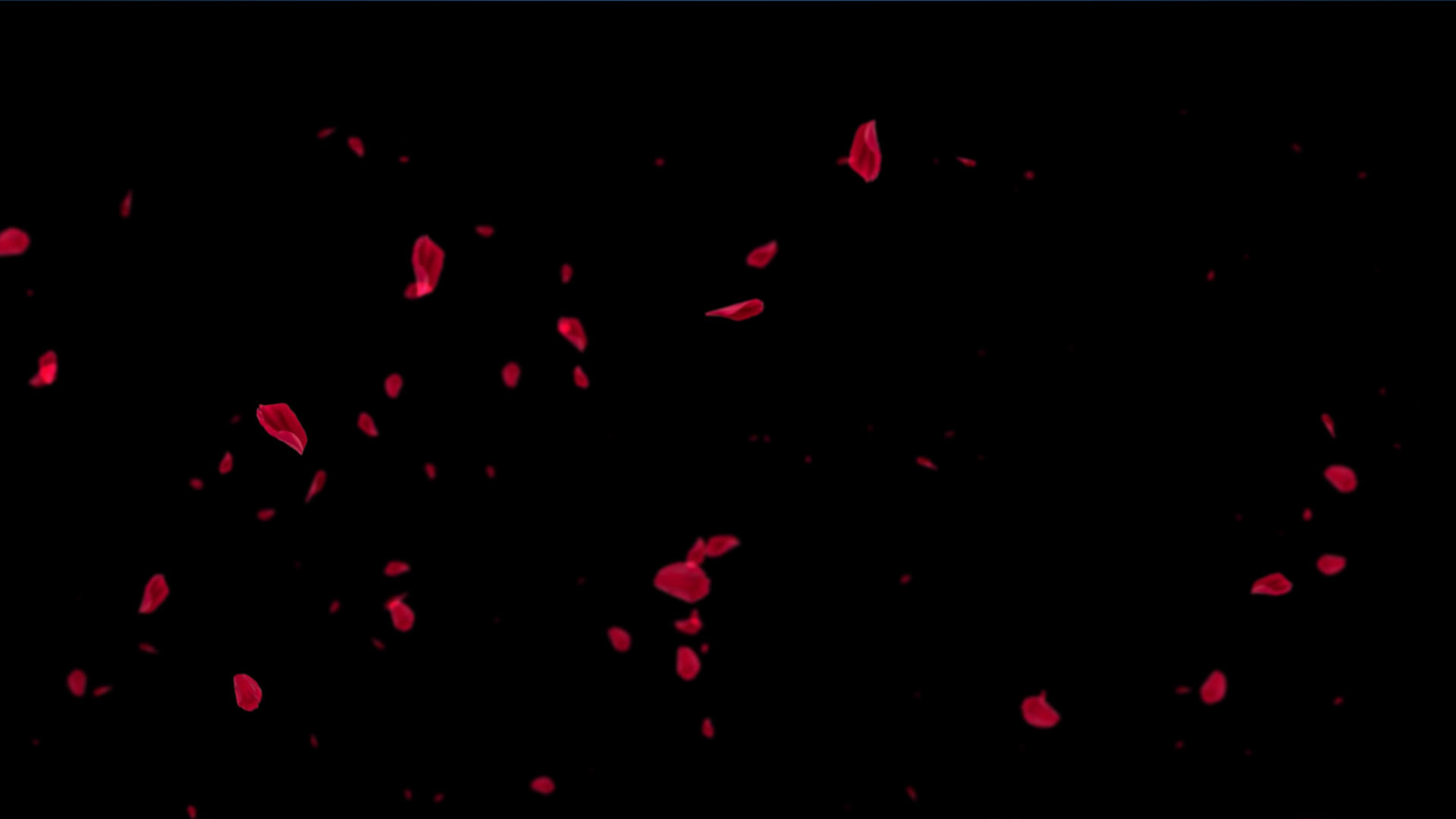 4K桃花花瓣飞舞元素带通道视频的预览图