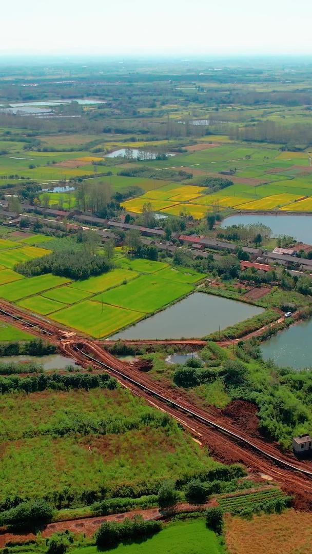 农村农业水稻田航拍视频的预览图