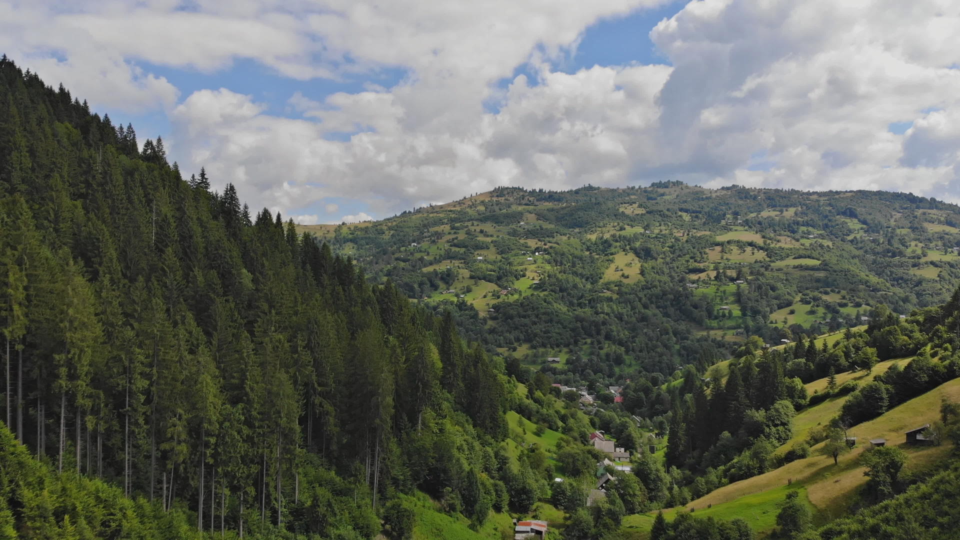 山、草甸、喀尔巴阡山村的鸟瞰图山空中景观视频的预览图