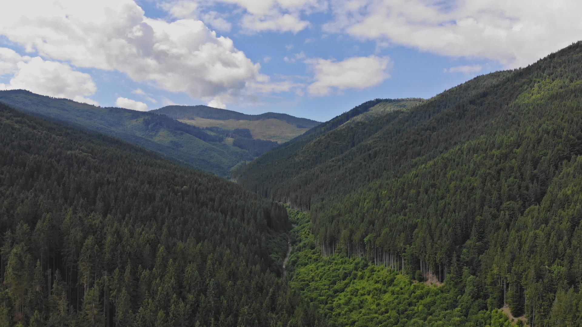 巨大的夏季全景飞过喀尔巴阡山脉视频的预览图