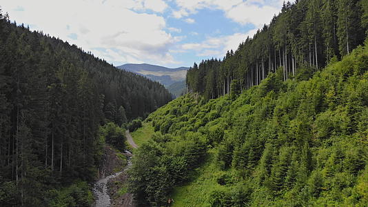 夏天在喀尔巴阡山脉的全景上飞行视频的预览图