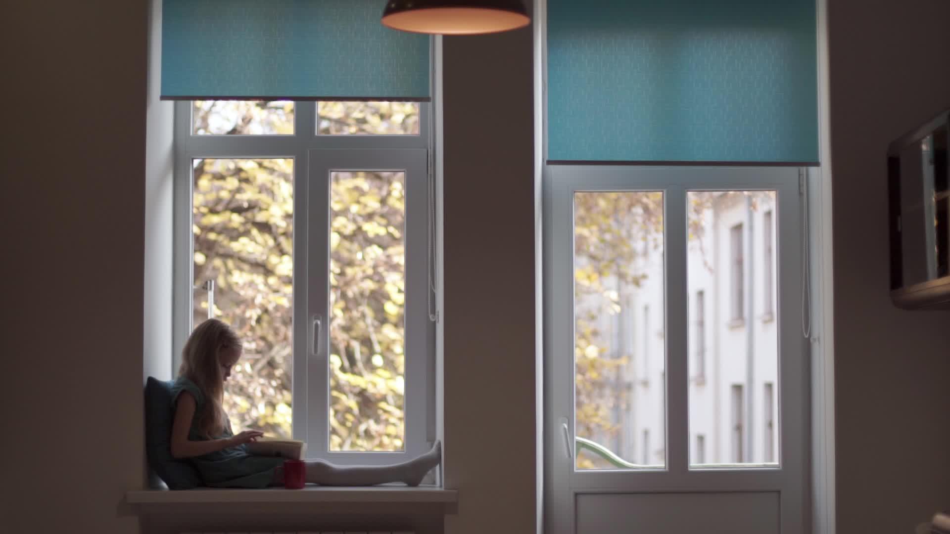 秋天在窗台上看书的女孩视频的预览图